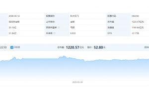 原创 
            刘庆峰说马斯克不懂AI，但资本市场似乎也不懂科大讯飞
