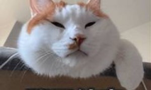 原创 
            千万 “ 私密聊天 ” 被公开，这瓜有点大啊！