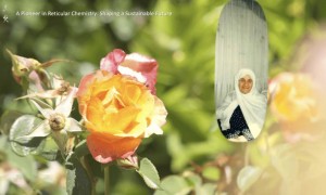 史上最强打工人：老板布置的杂活，被他干成了诺贝尔奖！