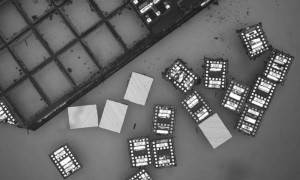 比盐粒还小，科学家研发出世界上最小的自主机器人