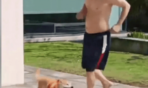 62岁李连杰豪宅游泳，大腹便便并无刀疤，脱光上衣向网友自证清白