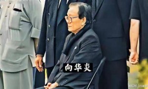 突发！向华强二哥向华炎离世住院1年享年93岁，撑起向家半壁江山