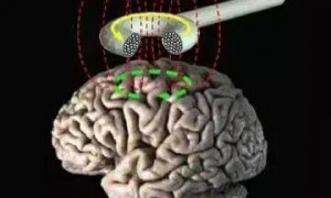 为什么有人会“认床”？半边大脑在守夜呢！