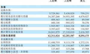 蔚来长袖善舞：时隔半年再次配售 或募资超70亿港元