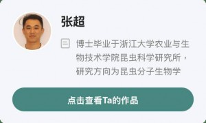 广州100%的蚊子都出现抗药性？对付蚊子，我们还有招吗？