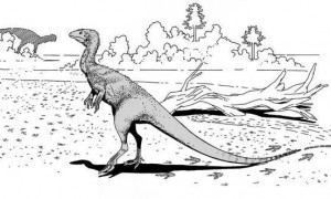 村民用了多年的垫脚石，竟是重要的恐龙化石？