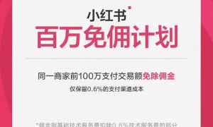 12年来首次被单独“约谈”，小红书难以抉择的十字“露”口