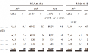 靠“情绪价值”年赚20亿，Soul的社交生意经灵不灵？
