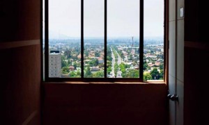 导致多起非正常死亡，“指居”何去何从？