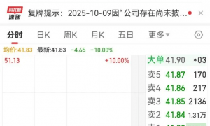 闻泰科技遭荷兰“背刺”，半导体枭雄陷资本迷局