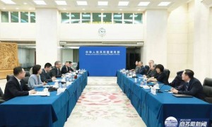 王文涛会见苏姿丰