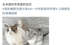 你信吗？博主爆料：Mate 80能把iPhone 17打的找不到北