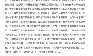 湖北追责问责185人，其中厅局级干部19人