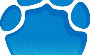 马斯克官宣高管女友：半个印度人，小其15岁的AI专家；是14个孩子中4个孩子的母亲