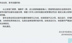长期冒充“中国书法家协会主席”的骗子被抓